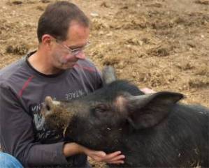 Albert-Swinestein-2b